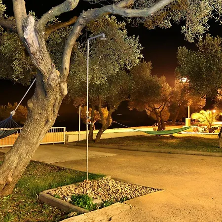 Studio Drace 4529B Drače